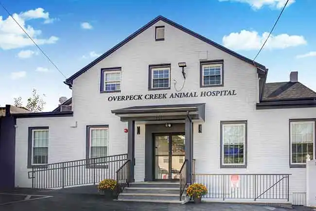 Overpeck Creek Animal Hospital Grand Opening