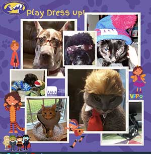 Halloween Pet Safety Tips