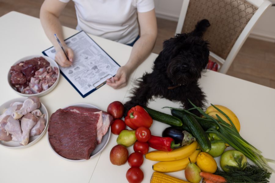 Homemade Diabetic Dog Meals: Healthy Recipes Your Dog Will Love