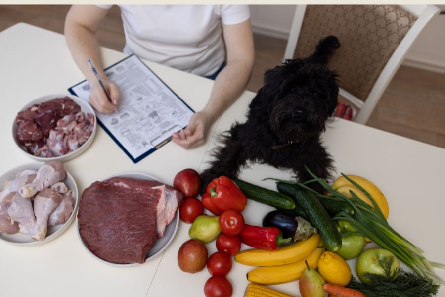 Decoding Pet Food Levels: What do Those Ingredients Actually Mean