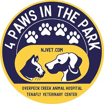 img-4-paws-in-the-park