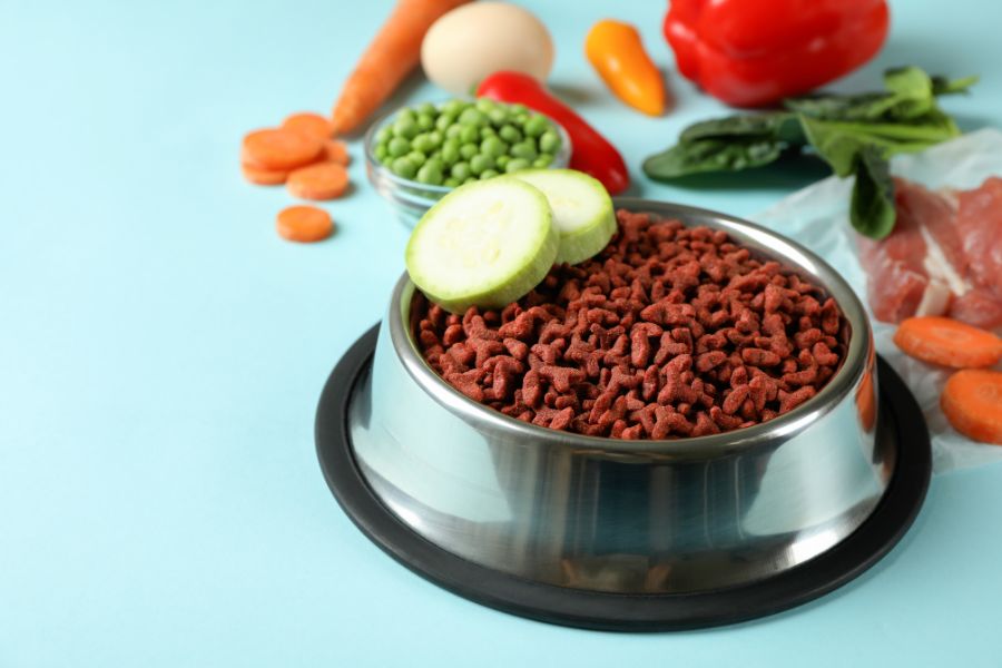 Can Food Be Medicine for Your Pet