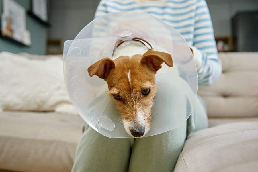 Prompt Surgical Care